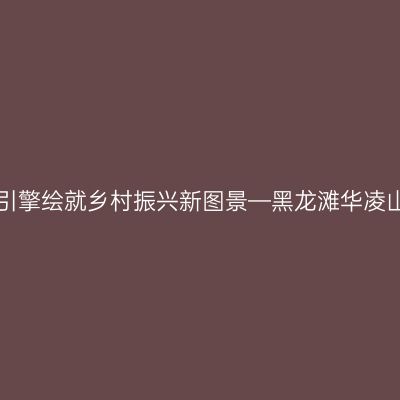 特色产业新引擎绘就乡村振兴新图景—黑龙滩华凌山庄 隐湖栖